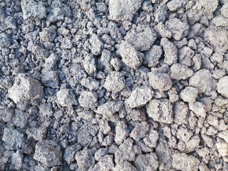 texture of soil lumps in spring during arid weather