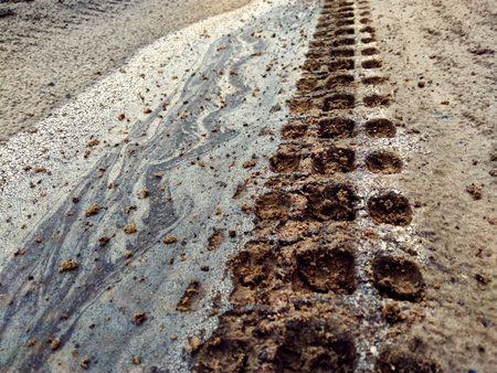 Track from off-road motorcycle tires on a field road