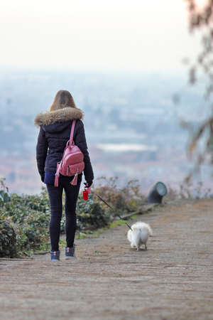 Beautiful young smiling girl strolls with small white dog. German dwarf Spitz. Pomeranian.の写真素材