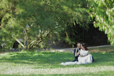 Beautiful love story in nature, couple in love. Happy bride and groom at a park on their wedding day.の写真素材