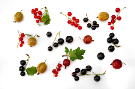 Fresh ripe gooseberries, red and black currants on white background
