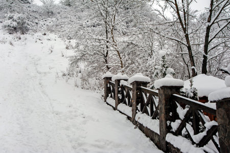 Fence covered with snow. Winter landscape in the countryside.の写真素材