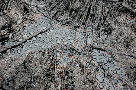 Picture of watter drops on the petroleum surface. Abstract background