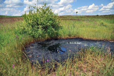 Active mud (clay and bitumen) volcano on the outskirts of the village Starunja in Carpathian. Spills...