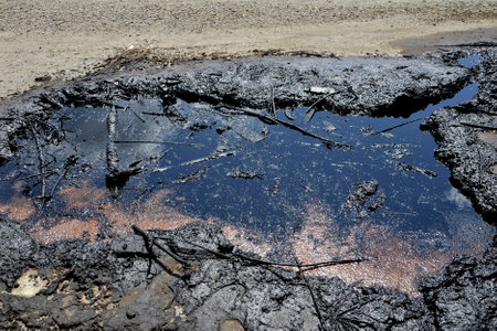 Industrial oil pollution on the surface of the soil is an environmental catastrophe.の写真素材