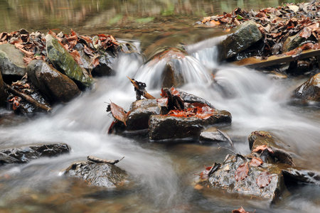 Colorful fallen autumn leaves in mountain stream.Water and stones.