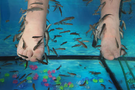 Exotic peeling of the legs with fish Garra Rufaの写真素材
