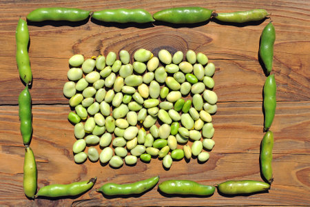 Fresh picked raw green beans (Vicia faba) on an old wooden table.の写真素材