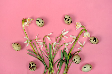 Happy Easter. Easter decoration with snowdrops and quail eggs on a pink background.の写真素材