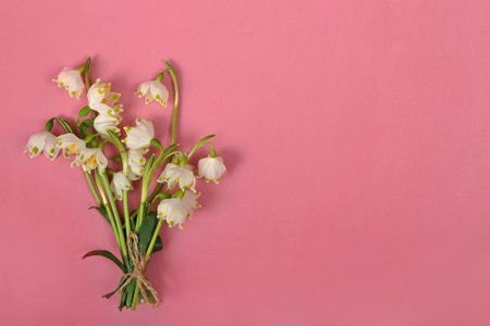 A bouquet of snowdrops on a pink background, Valentines day card, International Women\'s Day on March 8, Mother\'s day. Space for text.の写真素材