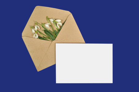 A bouquet of white snowdrops in a postal envelope and a blank sheet of paper with space for text on a dark blue background.の写真素材