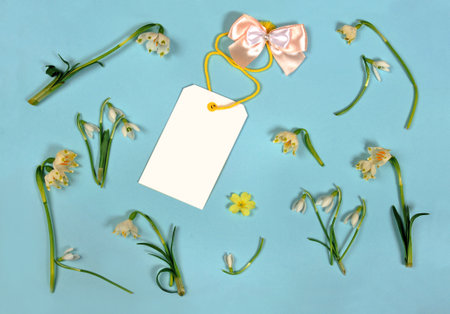 Hello spring.Template for greeting card with snowdrops and paper blank for text on a blue background.の写真素材