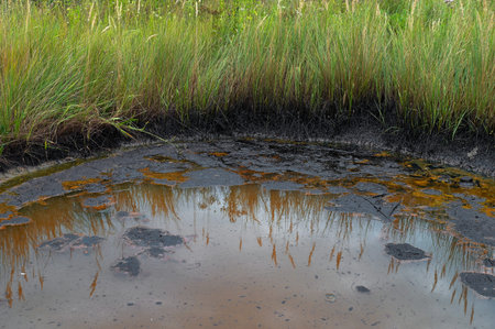 Industrial oil pollution on the surface of the soil is an environmental catastrophe.