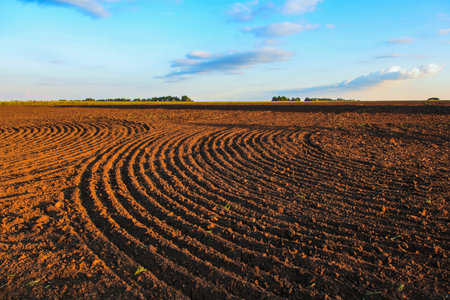 Plowed field.