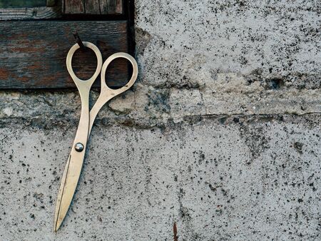 Old iron scissors on a background on concrete wallの写真素材