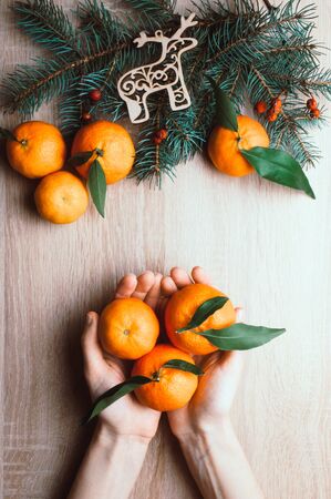 Christmas background with hands holding tangerines, around fir branches, rowan berries and in snow. Winter holiday frame. Flat lay top viewの写真素材