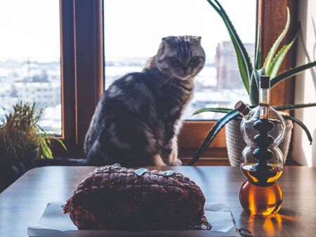 Baking tray with raw meatloaf on table. Cooked spicy pork meat roulade prepared to roast, marinated with spices and herbs on black slate plate, close-upの写真素材