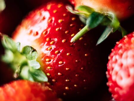 Strawberry background. Red ripe organic strawberriesの写真素材