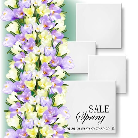 The first spring flowers, a bouquet of crocuses. Sale poster design, sale.のイラスト素材