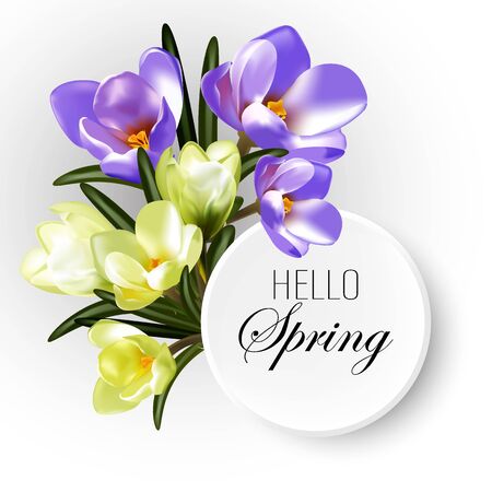 Spring card, crocus flowers bouquet. Holiday Poster Designのイラスト素材