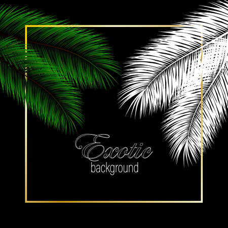 Palm green and white leaves background. Vector exotic palm leaves.のイラスト素材