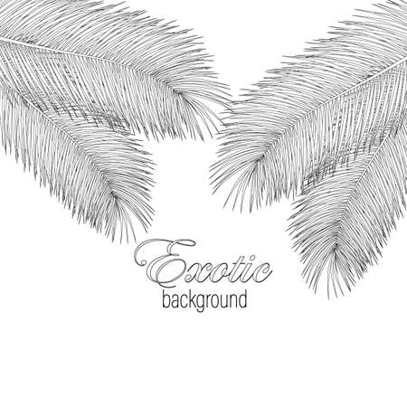 Palm leaves on white background. Vector exotic palm leaves.のイラスト素材