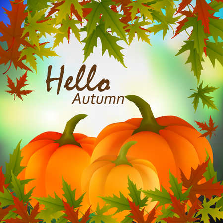 Autumn vector background. Red, yellow, green, leaves and orange pumpkin on abstract background. For shopping sale,promo poster, cards, frame leaflet, web banner.のイラスト素材