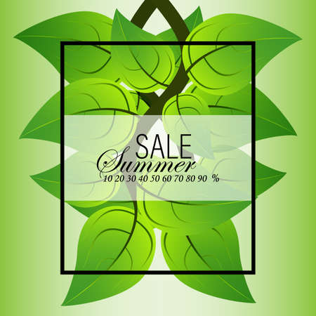Green banner for sale and greeting cards with leaves and lianas. Summer concept. Natural eco background. Business banner with season offer. Vector design illustration.のイラスト素材