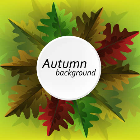 Autumn colored oak leaves, frame, abstract background design vectorのイラスト素材