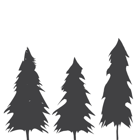 Pacific northwest old growth evergreen treeのイラスト素材