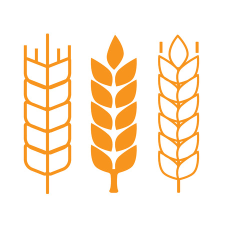 Wheat ear symbolsのイラスト素材