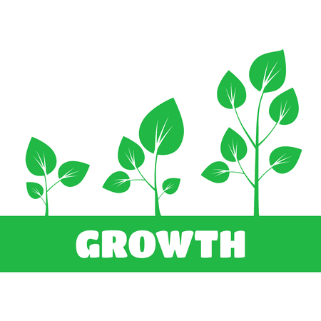 Tree growth diagram. Green treeのイラスト素材