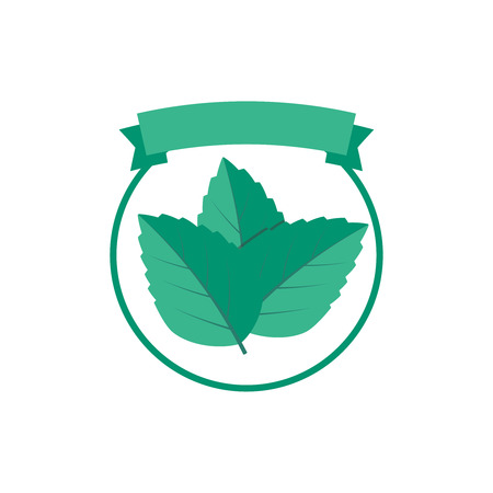 Vector mint leaf logo icons organic badge illustrationのイラスト素材
