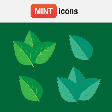 Peppermint mint vector. Mint green vector illustration setのイラスト素材