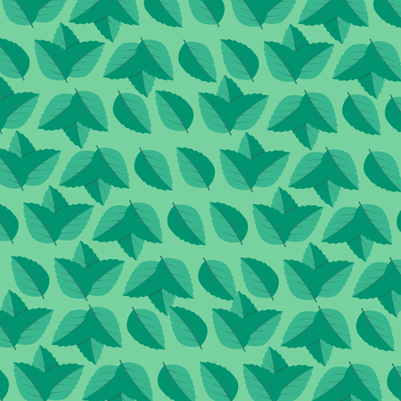 Fresh mint leaf. Mint leaves vector logoのイラスト素材
