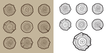 Tree rings icons, concept of saw cut trunkのイラスト素材