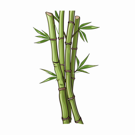 Bamboo flat vector illustration. Bamboo cartoon hand drawing isolated vector illustration.のイラスト素材