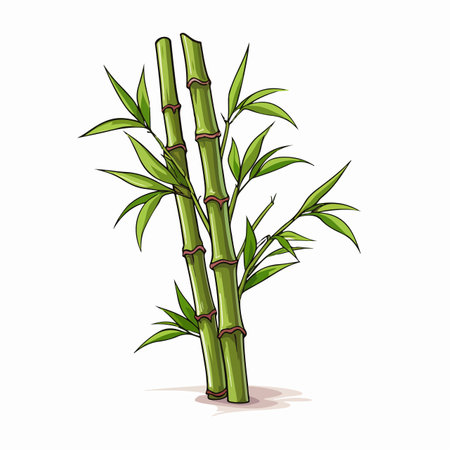 Bamboo flat vector illustration. Bamboo cartoon hand drawing isolated vector illustration.のイラスト素材