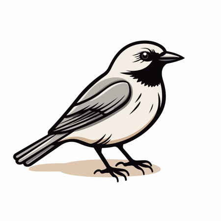 Bird flat vector illustration. Bird cartoon hand drawing isolated vector illustration.のイラスト素材