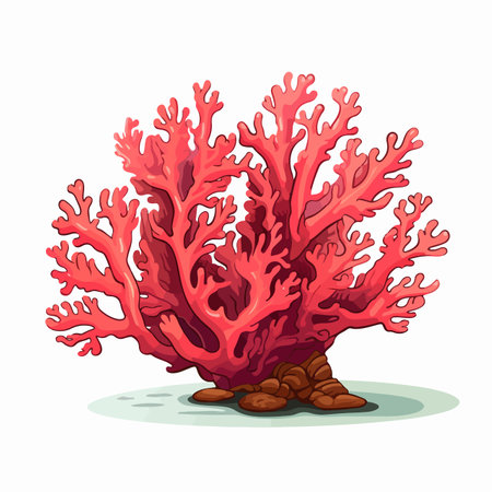 Coral flat vector illustration. Coral cartoon hand drawing isolated vector illustration.のイラスト素材