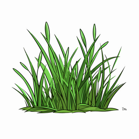 Grass flat vector illustration. Grass cartoon hand drawing isolated vector illustration.のイラスト素材