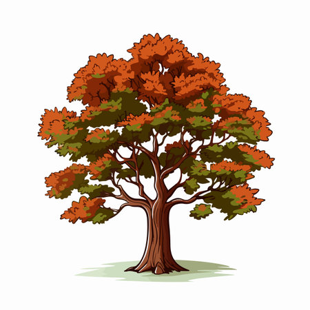 Maple tree flat vector illustration. Maple tree cartoon hand drawing isolated vector illustration.のイラスト素材