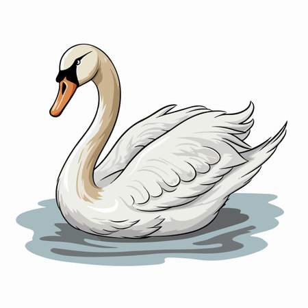 Swan flat vector illustration. Swan cartoon hand drawing isolated vector illustration.のイラスト素材