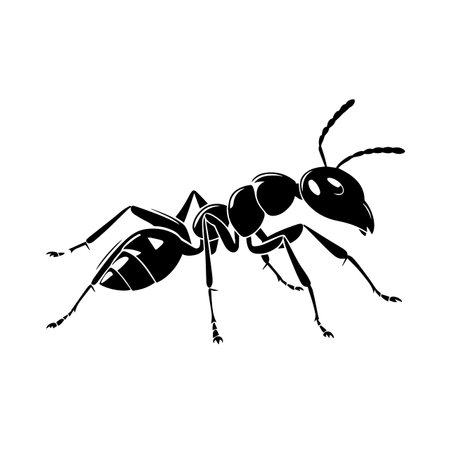 Ant silhouette vector illustration. Ant silhouette, Icon and Sign.のイラスト素材