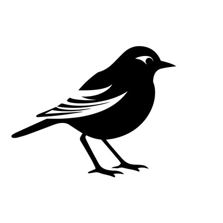 Bird silhouette vector illustration. Bird silhouette, Icon and Sign.のイラスト素材