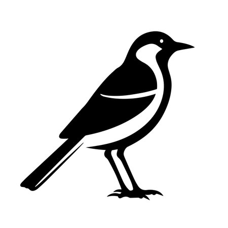 Bird silhouette vector illustration. Bird silhouette, Icon and Sign.のイラスト素材