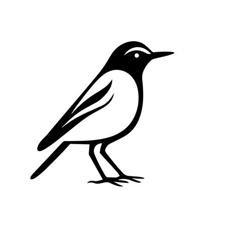 Bird silhouette vector illustration. Bird silhouette, Icon and Sign.のイラスト素材
