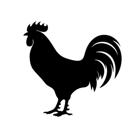 Chicken silhouette vector illustration. Chicken silhouette, Icon and Sign.のイラスト素材