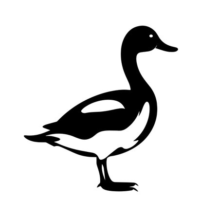 Duck silhouette vector illustration. Duck silhouette, Icon and Sign.のイラスト素材