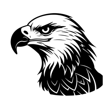 Eagle silhouette vector illustration. Eagle silhouette, Icon and Sign.のイラスト素材